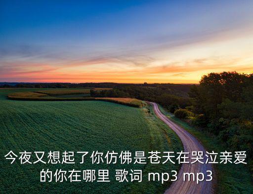 亲爱的 今夜你在哪里，求阿呆与阿瓜2的一段插曲