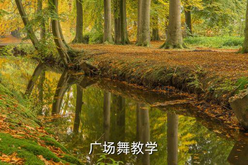 广场舞教学