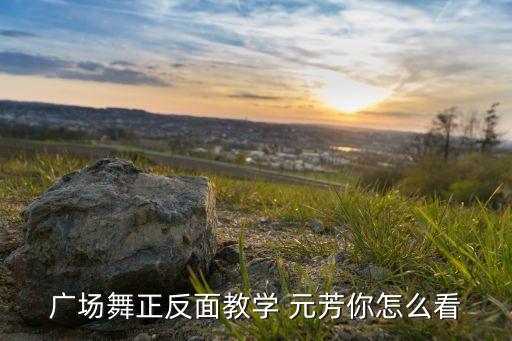 广场舞正反面教学 元芳你怎么看