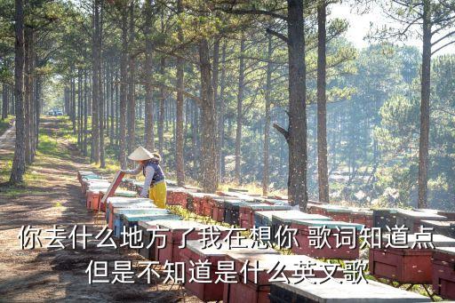 你去什么地方了我在想你 歌词知道点但是不知道是什么英文歌