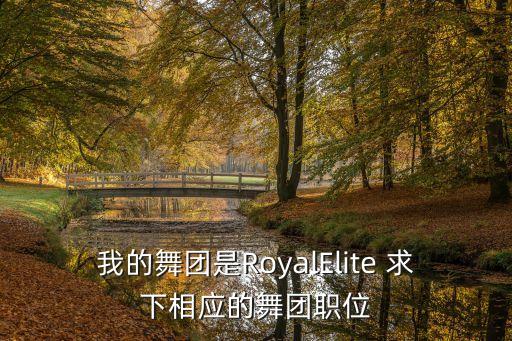 我的舞团是RoyalElite 求下相应的舞团职位