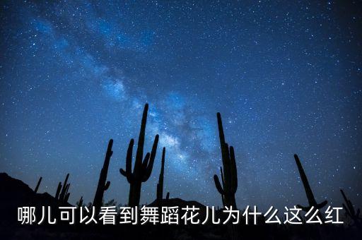 哪儿可以看到舞蹈花儿为什么这么红