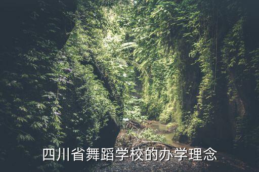 舞蹈学校宗旨是什么，黄石弘艺舞美艺术学校的培训宗旨是什么
