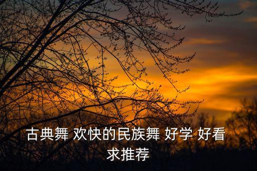 古典舞 欢快的民族舞 好学 好看 求推荐