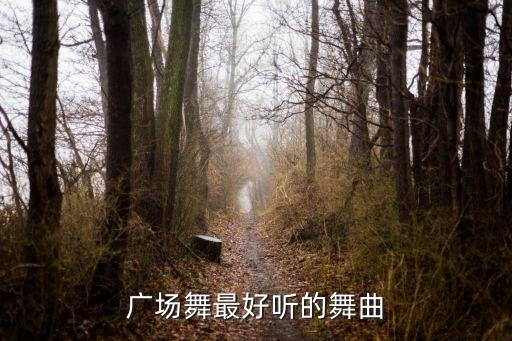 视频广场舞歌曲大全免费下载，一直爱着你 广场舞歌曲 百度云MP3谢谢