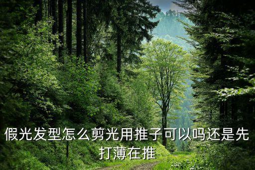 假光发型怎么剪光用推子可以吗还是先打薄在推