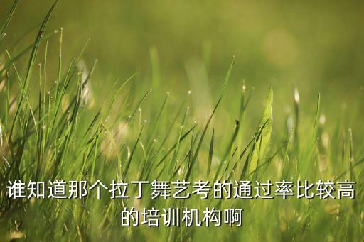 谁知道那个拉丁舞艺考的通过率比较高的培训机构啊