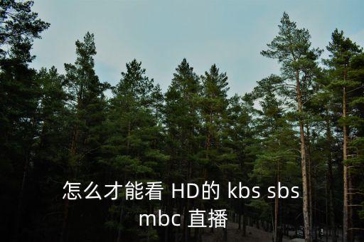 怎么才能看 HD的 kbs sbs mbc 直播