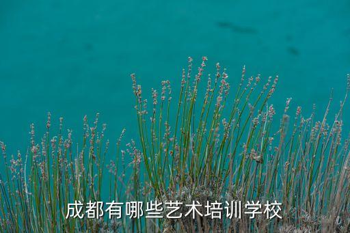 成都有哪些艺术培训学校
