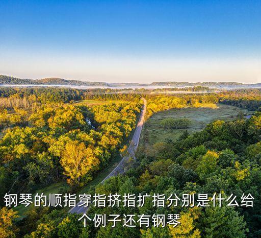 扩指训练的是什么，钢琴的顺指穿指挤指扩指分别是什么给个例子还有钢琴