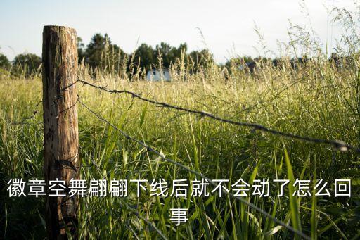 徽章空舞翩翩下线后就不会动了怎么回事