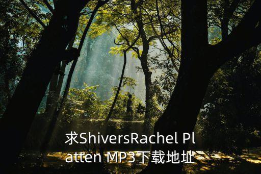 求ShiversRachel Platten MP3下载地址