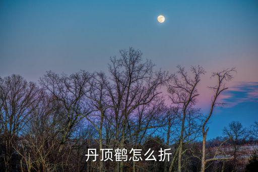 丹顶鹤怎么折