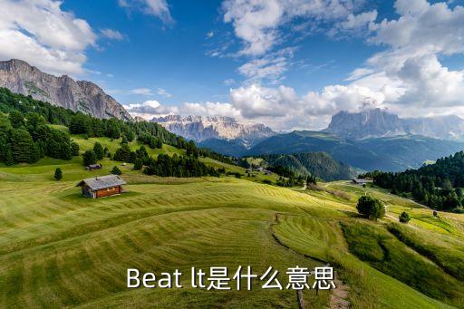 beatlt是什么意思，beatlt中文是什么