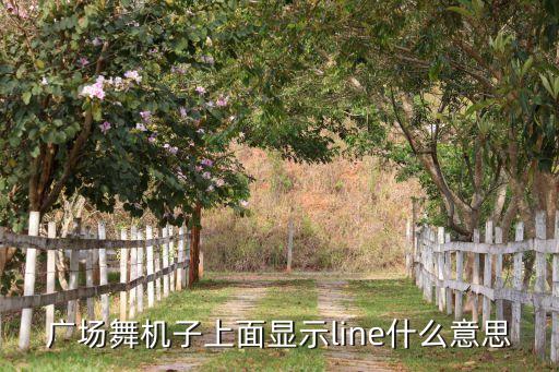 广场舞机子上面显示line什么意思