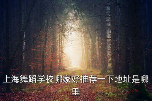 上海舞蹈学校哪家好推荐一下地址是哪里