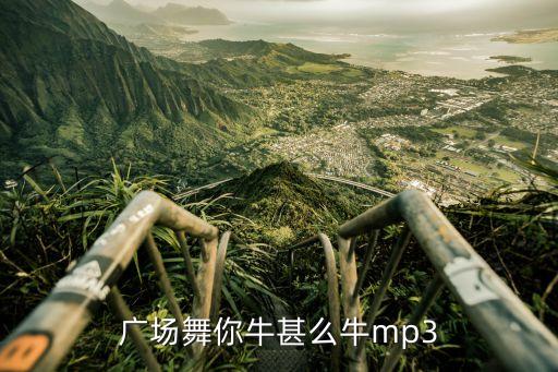 你牛什么牛十二步广场舞视频下载，广场舞你牛甚么牛mp3