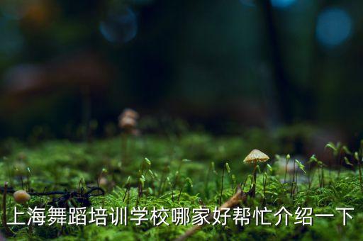 上海舞蹈培训学校哪家好帮忙介绍一下
