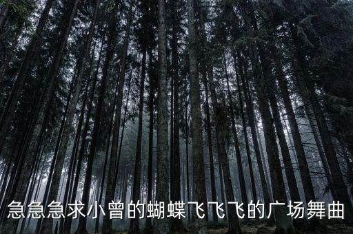 急急急求小曾的蝴蝶飞飞飞的广场舞曲