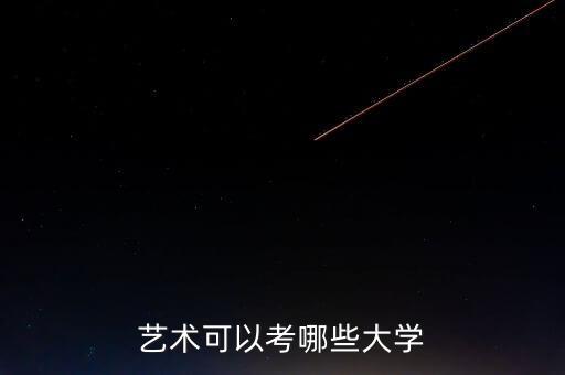 艺术可以考哪些大学