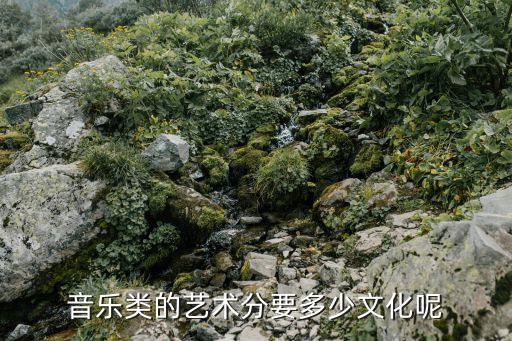 音乐艺考分数线，音乐类的艺术分要多少文化呢