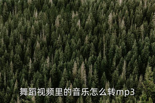 舞蹈视频里的音乐怎么转mp3