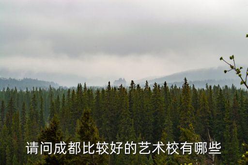 请问成都比较好的艺术校有哪些