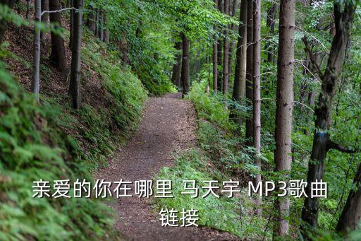 亲爱的你在哪里 马天宇 MP3歌曲链接
