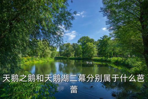 舞蹈天鹅舞属于什么舞，天鹅之鹅和天鹅湖二幕分别属于什么芭蕾