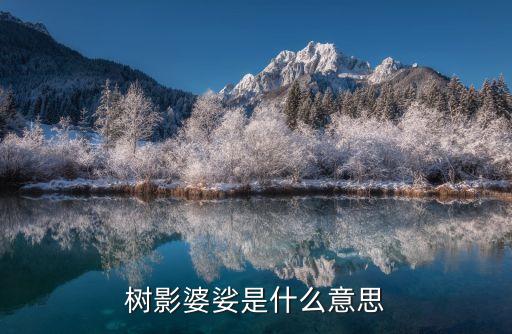 六一儿童节雪龙吟舞蹈男生，婆挲 怎么读 什么意思