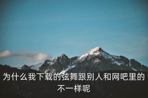 为什么我下载的弦舞跟别人和网吧里的不一样呢
