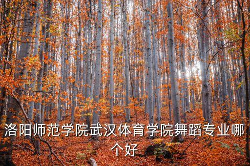 洛阳师范学院武汉体育学院舞蹈专业哪个好