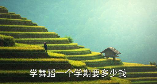 学舞蹈一个学期要多少钱