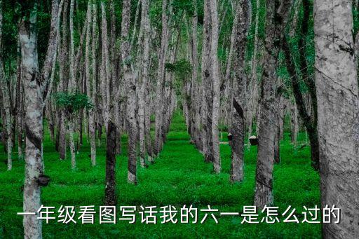 一年级看图写话我的六一是怎么过的