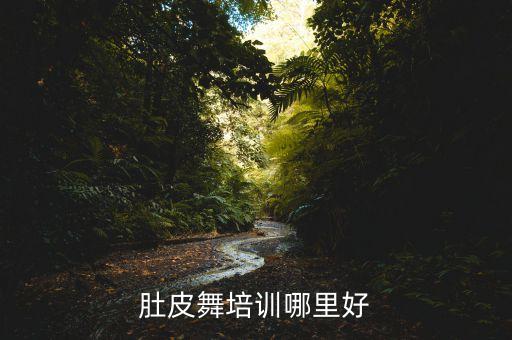 肚皮舞培训哪里好