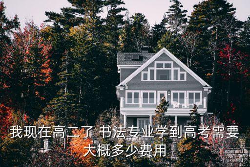 书法艺考费用大概多少钱啊，人文科技学院湖南书法联考报名费是多少啊