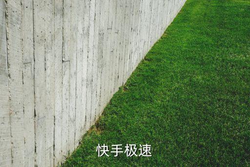 快手极速版app官方免费下载，手机软件下载