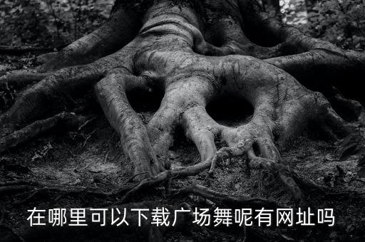 在哪里可以下载广场舞呢有网址吗