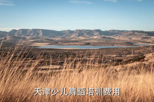 天津少儿舞蹈培训费用