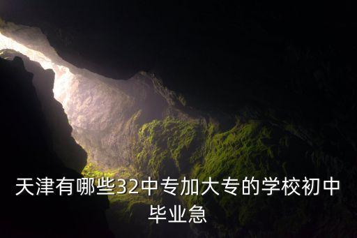 天津有哪些32中专加大专的学校初中毕业急