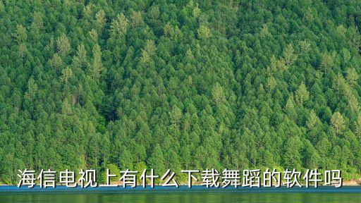 海信电视上有什么下载舞蹈的软件吗
