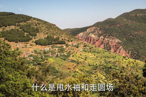 水袖甩袖怎么收袖，跳惊鸿舞时水袖怎样才能甩出去要怎样用力