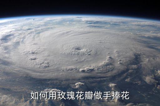 如何用玫瑰花瓣做手捧花