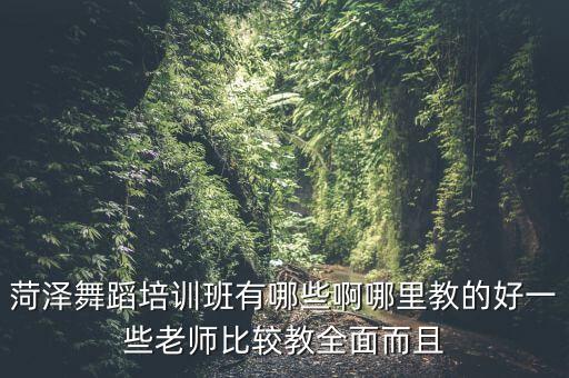 菏泽舞蹈培训班有哪些啊哪里教的好一些老师比较教全面而且