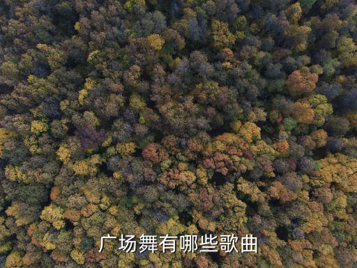 广场舞有哪些歌曲