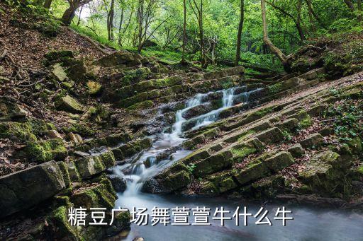 糖豆广场舞萱萱牛什么牛