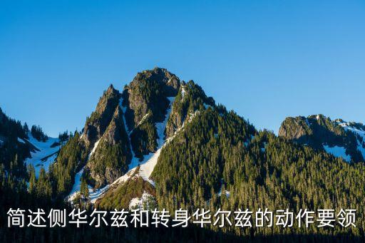 简述侧华尔兹和转身华尔兹的动作要领