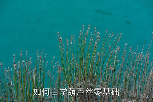 形体舞梅花泪背面分解动作教学版，李琦舞蹈梅花泪希望李琦老师的梅花泪舞蹈分解动作谢谢