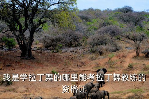 我是学拉丁舞的哪里能考拉丁舞教练的资格证