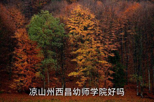 凉山州西昌幼师学院好吗